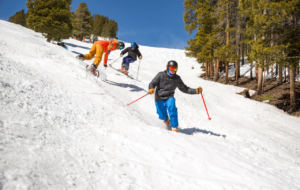Multidiscipline snowsports lesson